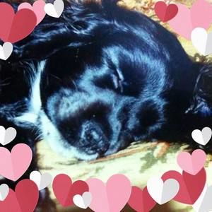 Meet your Posher, Deb